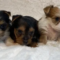 processed/ebd14d27-6636-43fd-9be2-8ffb8396e24f/facility/309196fa-084a-4dd0-be14-b492e8bf01a8