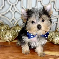 processed/ebd14d27-6636-43fd-9be2-8ffb8396e24f/facility/3b74f8cd-5ecc-44e4-905b-b188fc14ccc9