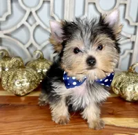 processed/ebd14d27-6636-43fd-9be2-8ffb8396e24f/facility/3b74f8cd-5ecc-44e4-905b-b188fc14ccc9