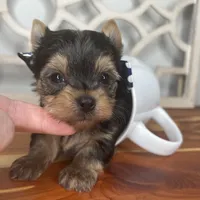 processed/ebd14d27-6636-43fd-9be2-8ffb8396e24f/facility/56364367-d93f-45e0-b38e-e4dec86acc2d