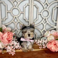 processed/ebd14d27-6636-43fd-9be2-8ffb8396e24f/facility/6e576696-3d5f-4d00-903f-8d9b9a526b38