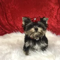 processed/ebd14d27-6636-43fd-9be2-8ffb8396e24f/facility/70bc6ab6-ae64-4e47-8e79-6038a01b5302