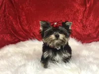 processed/ebd14d27-6636-43fd-9be2-8ffb8396e24f/facility/70bc6ab6-ae64-4e47-8e79-6038a01b5302