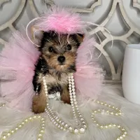 processed/ebd14d27-6636-43fd-9be2-8ffb8396e24f/facility/8d52ca9d-99f8-4a9f-8e58-b65c767efd27