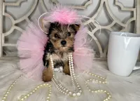 processed/ebd14d27-6636-43fd-9be2-8ffb8396e24f/facility/8d52ca9d-99f8-4a9f-8e58-b65c767efd27