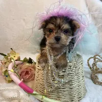 processed/ebd14d27-6636-43fd-9be2-8ffb8396e24f/facility/ecf682ab-4912-4fa4-bbc3-272c06aa98ad