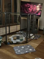 processed/ebd2aa7c-1b34-4d7d-bae4-def46f77c97c/facility/4f017de9-7c29-4724-a5d4-e3d6a4ff21ad