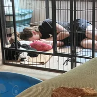 processed/ebd2aa7c-1b34-4d7d-bae4-def46f77c97c/facility/5bc53683-268f-4a17-b14a-16f7d42857ba