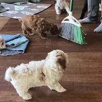 processed/ebd2aa7c-1b34-4d7d-bae4-def46f77c97c/facility/906b887e-b06c-4db3-996b-213ac41f5b70