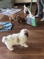 processed/ebd2aa7c-1b34-4d7d-bae4-def46f77c97c/facility/906b887e-b06c-4db3-996b-213ac41f5b70