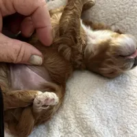 processed/ebd2aa7c-1b34-4d7d-bae4-def46f77c97c/facility/b064fb44-fdb3-4d26-b3ac-9dff1b462a07