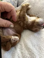 processed/ebd2aa7c-1b34-4d7d-bae4-def46f77c97c/facility/b064fb44-fdb3-4d26-b3ac-9dff1b462a07