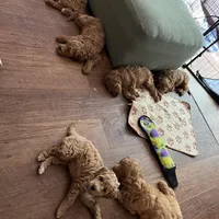 processed/ebd2aa7c-1b34-4d7d-bae4-def46f77c97c/facility/b24503a9-54ed-4335-bd8b-14fb3fec4418