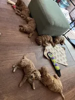 processed/ebd2aa7c-1b34-4d7d-bae4-def46f77c97c/facility/b24503a9-54ed-4335-bd8b-14fb3fec4418