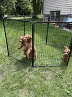 processed/ebd2aa7c-1b34-4d7d-bae4-def46f77c97c/facility/b4504621-b9b3-4b22-be30-287f9362d2a0