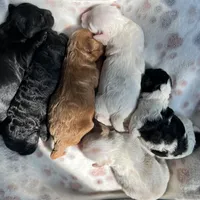 processed/ebd2aa7c-1b34-4d7d-bae4-def46f77c97c/facility/b455dbfb-5eb1-4aee-90f5-c7ff7e1a1e88