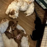 processed/ebd2aa7c-1b34-4d7d-bae4-def46f77c97c/facility/f3e6763b-2978-418e-9cdd-d3164bffcd8f