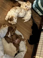 processed/ebd2aa7c-1b34-4d7d-bae4-def46f77c97c/facility/f3e6763b-2978-418e-9cdd-d3164bffcd8f