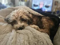 processed/ebd3b6c0-8ff8-4753-a630-f4341ad59382/listing/0a4ec0ae-0eaa-49ba-82c6-78678158c210/02c324f0-45af-4197-a9a2-97fac0220b6d