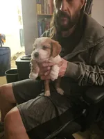 processed/ebd3b6c0-8ff8-4753-a630-f4341ad59382/listing/1acabe38-550d-4925-8ad7-e4e814cd6016/5513de11-1760-4114-b79e-9399e80a40e6