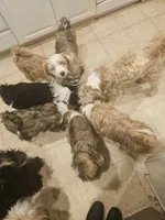 processed/ebd3b6c0-8ff8-4753-a630-f4341ad59382/listing/dbb2e72f-328b-49c2-a615-417c84c81f16/094482a3-819b-47ae-8839-b9b7ce58e843