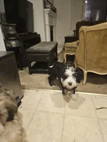 processed/ebd3b6c0-8ff8-4753-a630-f4341ad59382/listing/dbb2e72f-328b-49c2-a615-417c84c81f16/9d2d4b55-8e33-4177-83ec-67921695eab0