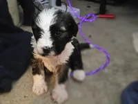 processed/ebd3b6c0-8ff8-4753-a630-f4341ad59382/listing/dbb2e72f-328b-49c2-a615-417c84c81f16/abbc0da7-8359-4135-a3a7-47eef27a3963