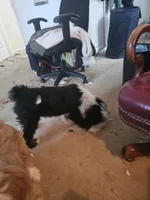 processed/ebd3b6c0-8ff8-4753-a630-f4341ad59382/listing/dbb2e72f-328b-49c2-a615-417c84c81f16/af4e6204-3a38-43ee-a2e5-509d7f81c6fd