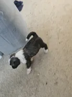 processed/ebd3b6c0-8ff8-4753-a630-f4341ad59382/listing/dbb2e72f-328b-49c2-a615-417c84c81f16/ee7a1ba1-4ecf-4a12-8e28-c380cfd2306d