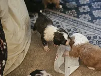 processed/ebd3b6c0-8ff8-4753-a630-f4341ad59382/listing/dbb2e72f-328b-49c2-a615-417c84c81f16/fb477a30-8428-4e28-901b-ed5c2bbd4c65