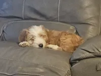 processed/ebd3b6c0-8ff8-4753-a630-f4341ad59382/listing/ed17755d-2796-485b-b2c3-7ef6d76909d4/1c6141df-9c88-42dc-b4e6-c07a06f32a61