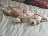 processed/ebd3b6c0-8ff8-4753-a630-f4341ad59382/listing/ed17755d-2796-485b-b2c3-7ef6d76909d4/1ee8c4c7-4690-4759-b819-8b19cbebaa11