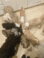 processed/ebd3b6c0-8ff8-4753-a630-f4341ad59382/listing/ed17755d-2796-485b-b2c3-7ef6d76909d4/320a65cb-bf6e-4f70-b0e3-841421947eb4