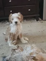 processed/ebd3b6c0-8ff8-4753-a630-f4341ad59382/listing/ed17755d-2796-485b-b2c3-7ef6d76909d4/591c6bf5-a3ee-4e0f-ba34-7029752bda23