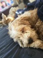 processed/ebd3b6c0-8ff8-4753-a630-f4341ad59382/listing/ed17755d-2796-485b-b2c3-7ef6d76909d4/8035b742-45eb-46a4-b804-63dc5c015eaa