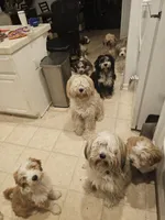 processed/ebd3b6c0-8ff8-4753-a630-f4341ad59382/listing/ed17755d-2796-485b-b2c3-7ef6d76909d4/edfdb37a-b01d-4d18-b89e-a62b4b802a8c