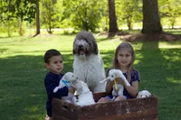 processed/ebd90ea4-304f-4720-8008-00d4781c2e7e/facility/58bf67fa-fcf6-499a-af67-7600fcf702da