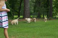 processed/ebd90ea4-304f-4720-8008-00d4781c2e7e/facility/b1dd39ac-e2dd-45e9-b296-0941458d11fc