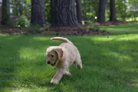 processed/ebd90ea4-304f-4720-8008-00d4781c2e7e/facility/daf4771f-a480-4806-ad81-11607b74be28