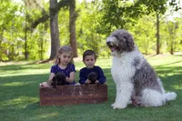 processed/ebd90ea4-304f-4720-8008-00d4781c2e7e/facility/fcc977c3-cd47-48b9-9b03-8eb53219aecf