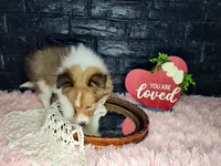 processed/ebe316c6-0bcf-47ed-ad79-db9b08537cc2/listing/0ded59d0-6ba1-4ab2-9782-e76f19ec930a/0fc63260-c3d9-431e-b579-bb6e77560505