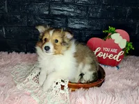 processed/ebe316c6-0bcf-47ed-ad79-db9b08537cc2/listing/0ded59d0-6ba1-4ab2-9782-e76f19ec930a/38803803-1db6-43bf-8eed-1625295de2e7