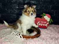 processed/ebe316c6-0bcf-47ed-ad79-db9b08537cc2/listing/0ded59d0-6ba1-4ab2-9782-e76f19ec930a/5e68a2ed-ca93-424f-91a7-2e15c3d66d40