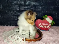 processed/ebe316c6-0bcf-47ed-ad79-db9b08537cc2/listing/0ded59d0-6ba1-4ab2-9782-e76f19ec930a/7c714b6e-2597-42fc-b026-ef24bfcf4c12