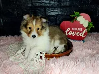 processed/ebe316c6-0bcf-47ed-ad79-db9b08537cc2/listing/0ded59d0-6ba1-4ab2-9782-e76f19ec930a/7f7fa76d-0470-4d75-ac44-f51fdf7fb89b