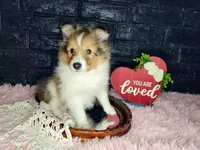 processed/ebe316c6-0bcf-47ed-ad79-db9b08537cc2/listing/0ded59d0-6ba1-4ab2-9782-e76f19ec930a/b9d00f43-2b6d-4c32-9760-0b646403e882