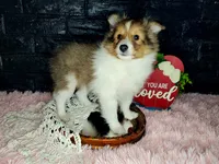 processed/ebe316c6-0bcf-47ed-ad79-db9b08537cc2/listing/0ded59d0-6ba1-4ab2-9782-e76f19ec930a/da1b7be0-b8ca-4846-99ff-5ef47c656262