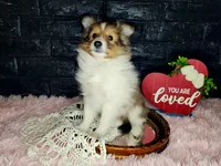 processed/ebe316c6-0bcf-47ed-ad79-db9b08537cc2/listing/0ded59d0-6ba1-4ab2-9782-e76f19ec930a/f25b465a-2b81-4469-b6a3-0336f49ddb79