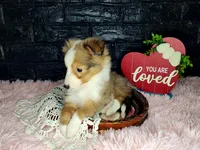 processed/ebe316c6-0bcf-47ed-ad79-db9b08537cc2/listing/662f1dfb-6dd5-46de-ad50-b07d0edbfd2a/35808b9d-86a8-41d4-bf2f-c1d369075a96