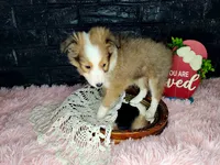 processed/ebe316c6-0bcf-47ed-ad79-db9b08537cc2/listing/662f1dfb-6dd5-46de-ad50-b07d0edbfd2a/545f20ce-7cd1-462c-be9b-0975c23fd852